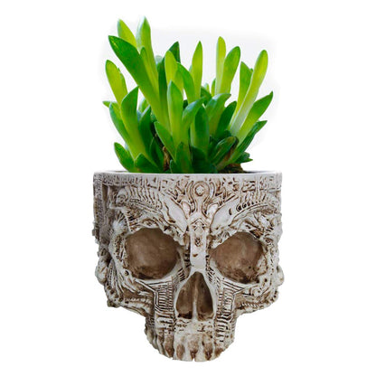 Skull Potted Plant Head Planter Pen Holder Desk Office Organizer Stationery Small Succulent Pots Gifts Decor Mini Resin Home Gardening Flower Pot Special Creative Outdoor Halloween Christmas Party
