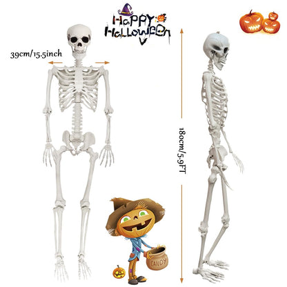 LUKBERA Posable Halloween Skeletons, 1Pcs 5.9ft Life Size Human Skeleton with Movable Joints for Halloween Haunted House Decoration