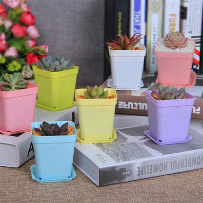 KAHEIGN 24Pcs Square Plant Pots, 7cm Thicken Plastic Flower Pots Succulent Planter Nursery Pots with Pallet/Trays for Small Potted Plants (6 Colors)