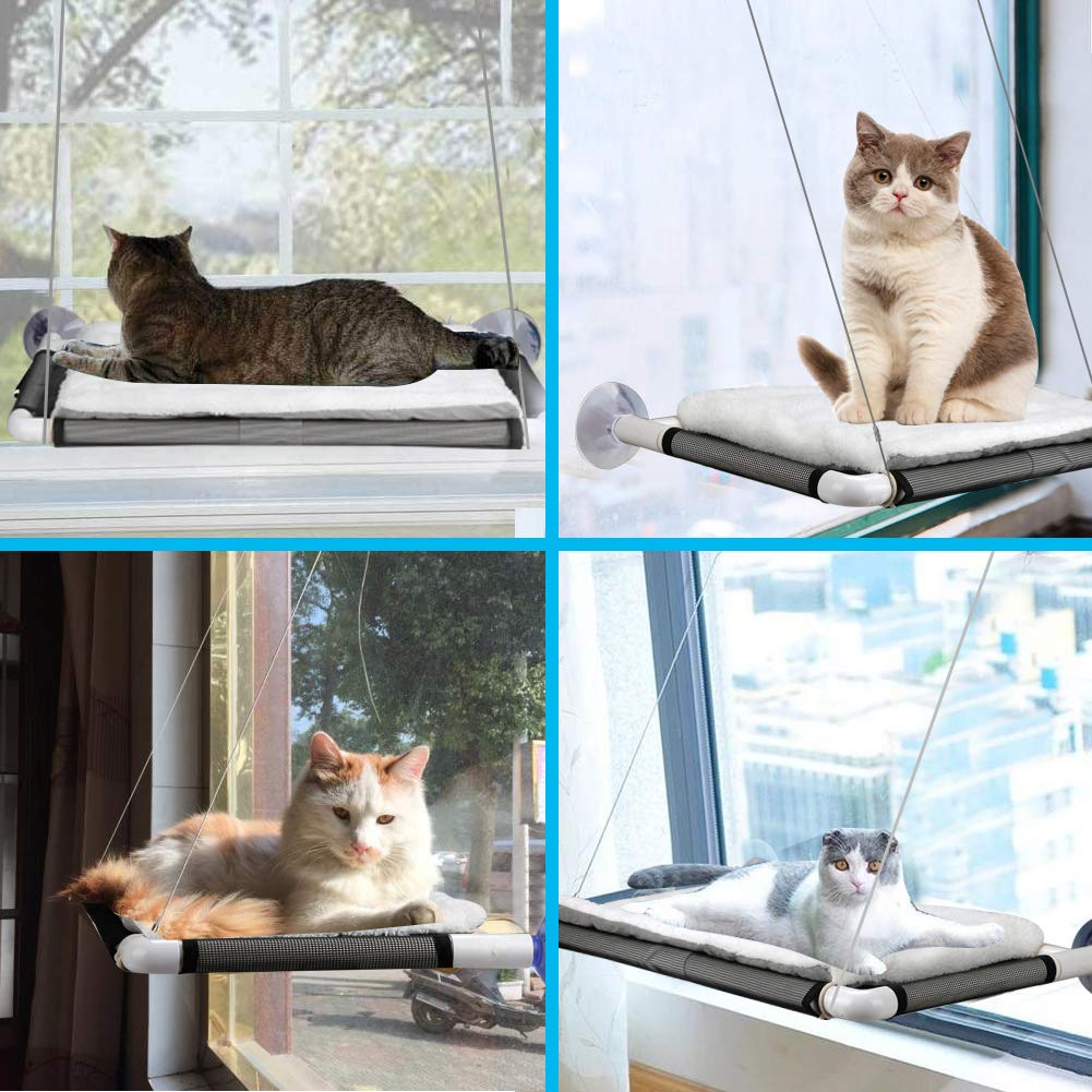 Cat Window Perch, Cat Hammock Window Seat w/Free Fleece Blanket 2025 Latest Screw Suction Cups Extra Large Sturdy Cat Bed Cat Resting Seat Hold Two Large Cats White Indoors (One Extra Suction Cup