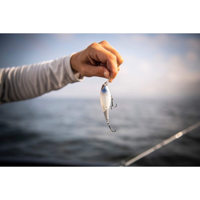 Berkley Flicker Shad Shallow Fishing Lure, Blue Tiger, 2/7 oz, 2 3/4in | 7cm Crankbaits, Size, Profile and Dive Depth Imitates Real Shad, Equipped with Fusion19 Hook