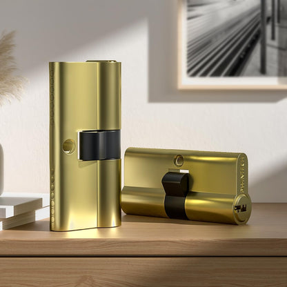 Bwintech Keyed Alike 30/30 mm Euro Brass Cylinder, 60 mm Key/Key Cylinder Lock with 10 Horizontal Brass Keys, Anti Picking, Anti Drill, Anti Bumping, Polished Brass Finish