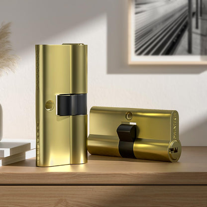 Bwintech Keyed Alike 30/30 mm Euro Brass Cylinder, 60 mm Key/Key Cylinder Lock with 10 Horizontal Brass Keys, Anti Picking, Anti Drill, Anti Bumping, Polished Brass Finish