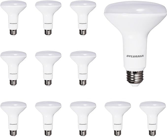 Sylvania LED Flood BR30 Light Bulb, 65W = 9W, 10 Year, 650 Lumens, Dimmable, 5000K, Daylight - 12 Pack (41264)
