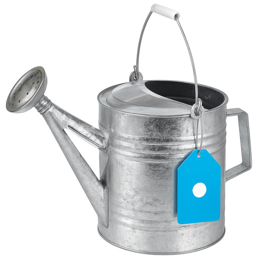 208 2-Gallon Steel Watering Can, Silver 208RH