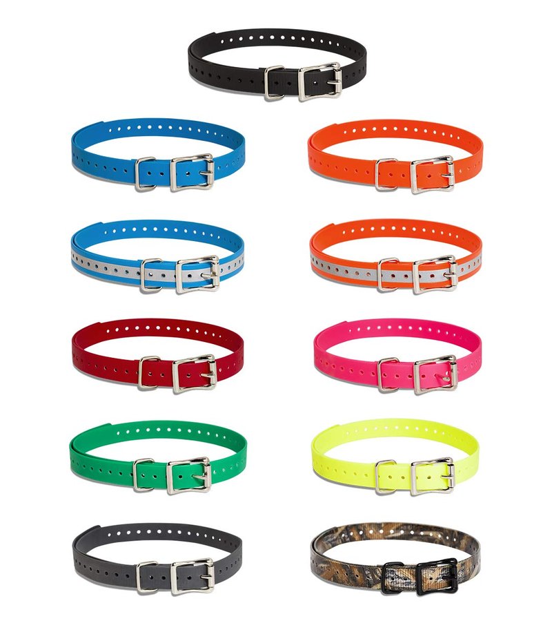SportDOG Brand 3/4 Inch Collar Strap (Pack of 2)