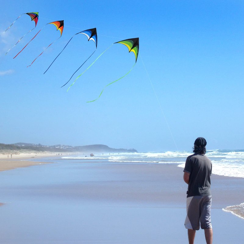 Delta Kites for Adults, Easy to Fly Kite, Best Kites (4 Pack Could be Stacked)