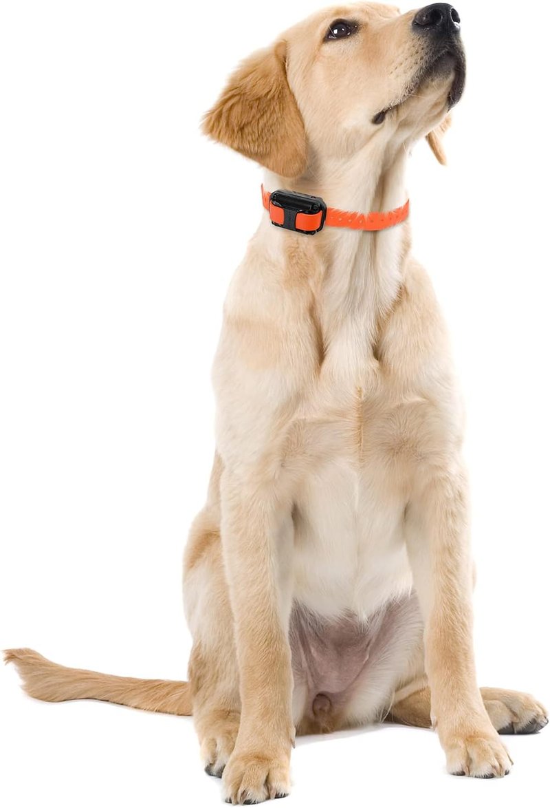 Educator E-Collar Dog Training Collar with Remote | 100 Levels, Waterproof, Rechargeable, Night Light - For Medium/Large Dogs, Orange