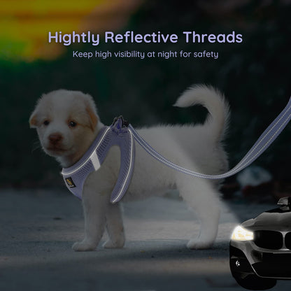 BELLA & PAL Dog Harness and Leash Set, Step-in Puppy Harness, Breathable Air Mesh with Reflective Strips, No Pull Vest for Puppies/Extra Small/Small Dogs, Purple, S
