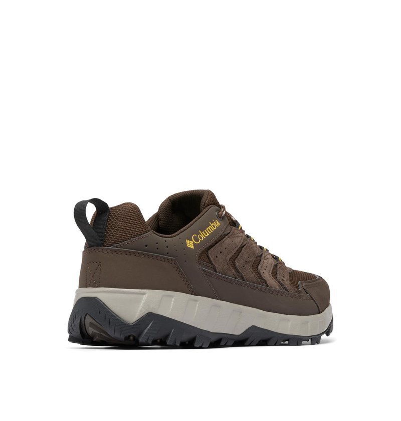 Columbia Men's Strata Trail Low, Cordovan/Golden Yellow, 11.5