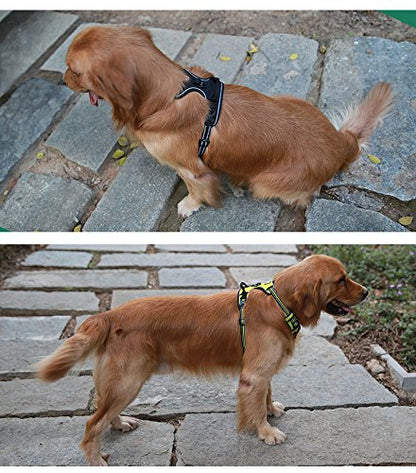 JUXZH Truelove Soft Front Dog Harness .Reflective No Pull Harness with Handle and 2 Leash Attachments