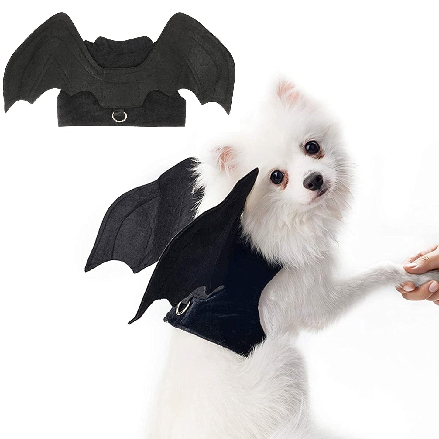 RYPET Dog Halloween Costume - Halloween Bat Wings Pet Costumes for Dogs Cats Halloween Party Medium