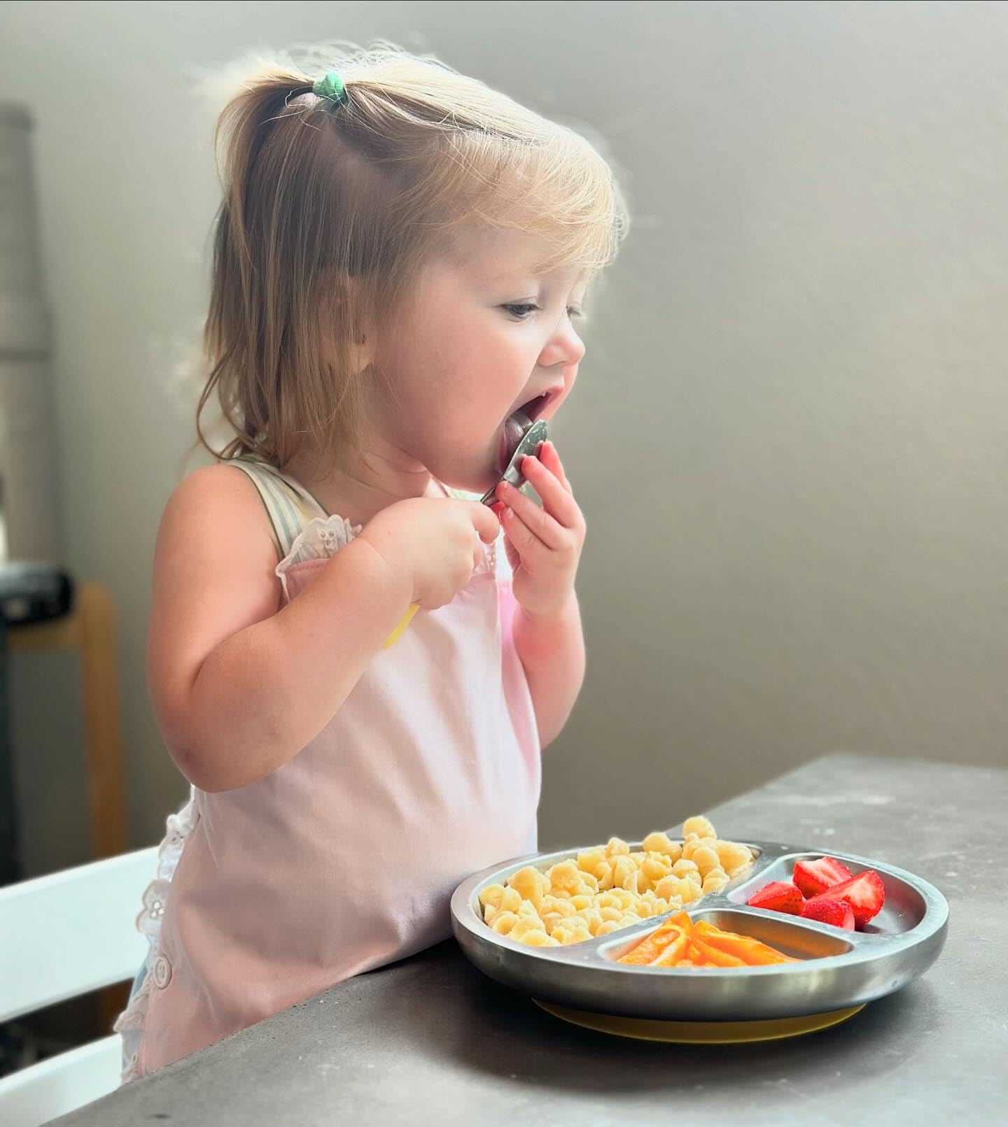 Avanchy Baby Plates with Suction – Stainless Steel Divided Plates for Toddlers, BPA-Free, Dishwasher Safe, Unbreakable, Non-Toxic, 100% Silicone Suction – Magenta