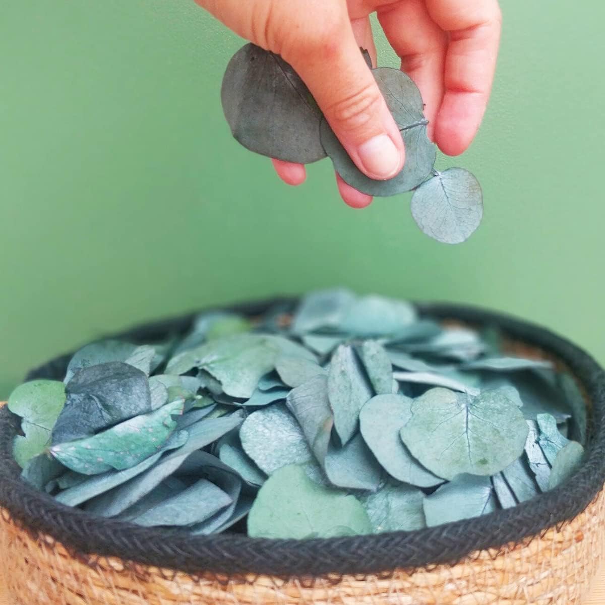 1600+Preserved Real Eucalyptus Leaves Small, Pure Natural Bulk Eucalyptus, Wedding Leaves Confetti for Anniversaries, Birthday, Graduation, Bridal Showers, Baby Shower Party Decor