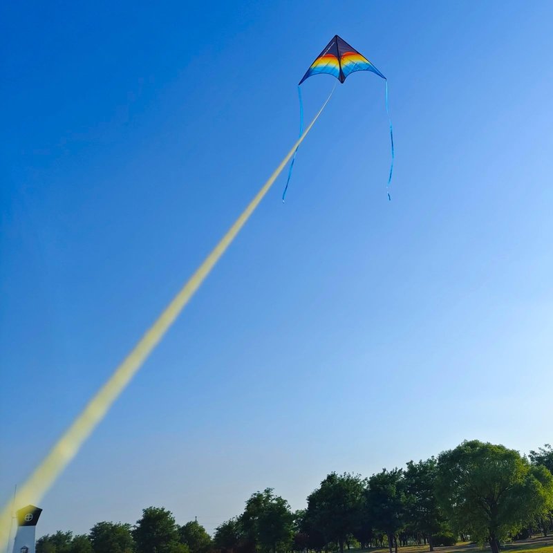 Large Beach Delta Kite for Adults and Kids Ages 4-8 & 8-12, Extremely Easy to Fly for Beginners(60X30''), Single Line Kite,Comes with 300 FT String Kite Handle.(Rainbow)
