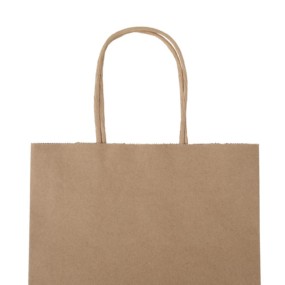 bagmad 100 Pack 8x4.75x10 Inch Plain Medium Paper Bags with Handles Bulk, Brown Kraft Craft Gift Bags, Grocery Shopping Retail Birthday Party Favors Wedding Sacks (Natural Brown, 100pcs)