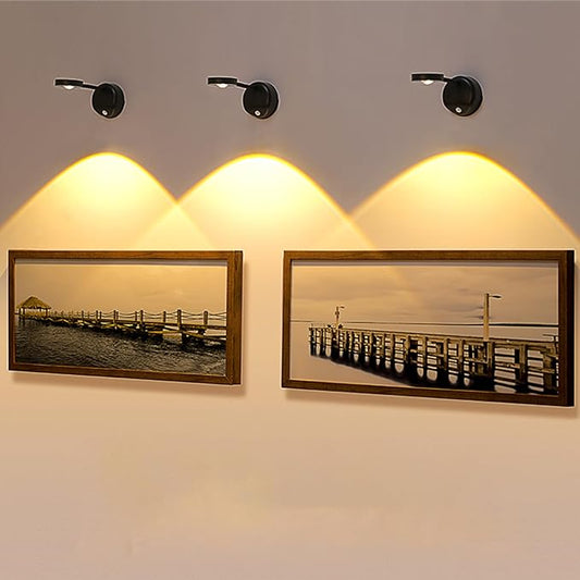 Battery Operated 4 Pack 2200mAh Picture Light with Motion Sensor and Rotatable Tube, Art Display Light for Picture Frame (Black)