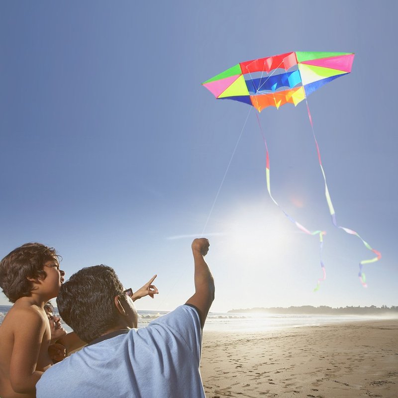 Beach Kites for Adults Large with Long Tail, 98 inches Super Easy Flyer 3D Rainbow Box Kites, Come with 49 Feet Multi Colors Tails x 2, 300 ft Kite String & Handle