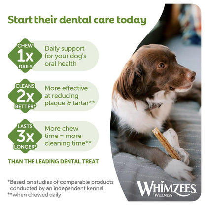 WHIMZEES By Wellness Stix, Dog Dental Sticks, 30 Pieces (1 Month Supply), Size M, Dog Chews for Medium Breeds, Natural, Grain-Free, Rawhide-Free, Vegetarian
