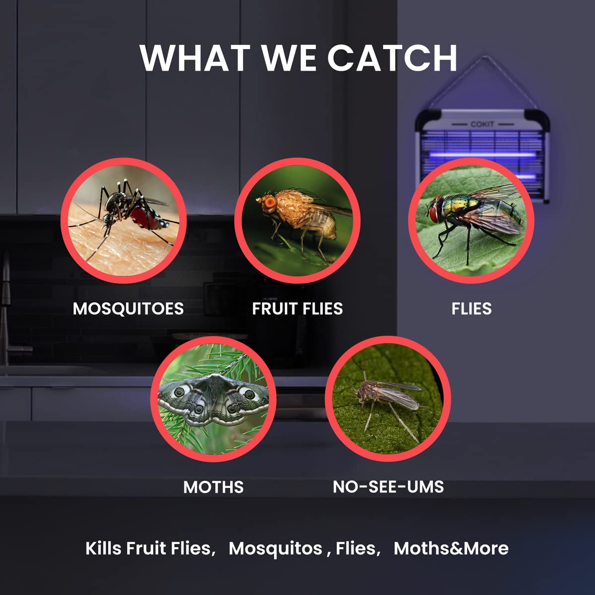 COKIT Bug Zapper Indoor 20W Electric Insect Killer with Bug Collection Tray, Fly and Mosquito Killer for Home, Kitchen, Garage, Patio, Includes 2 Extra Replacement Bulbs