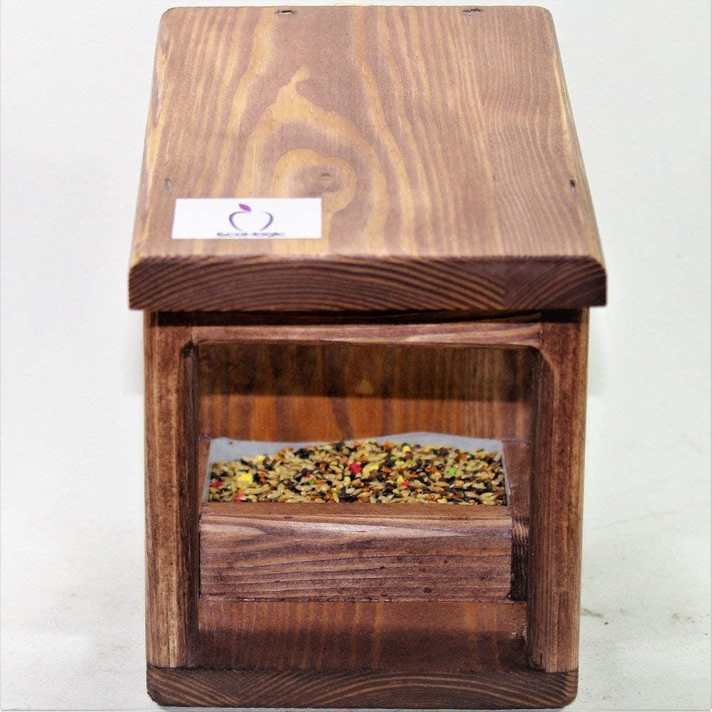 Bird feeder