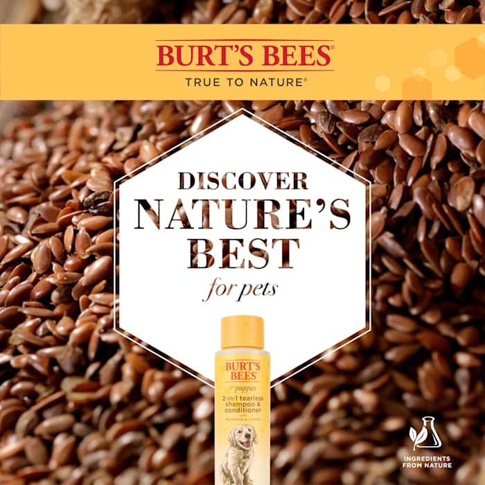 Burts Bees Tearless 2 in 1 Shampoo and Conditioner for Puppies with Buttermilk & Linseed Oil, 473ml, white