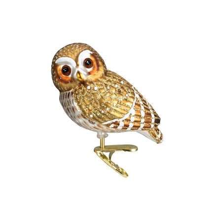 Old World Christmas Pygmy Owl Glass Blown Ornament for Christmas Tree, Handcrafted Holiday Decoration, Owl Collection