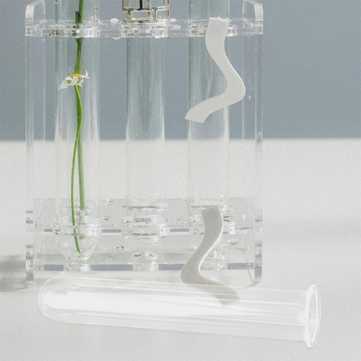 MUCKLILY Glass Test Tube Vases for Plant Propagation 2.5x18cm Small Hydroponic Flower Tubes Glass Planter Terrariums for Home and Office Desktop 4pcs Set