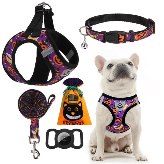 EXPAWLORER Halloween Puppy Harness - Dog Collar and Leash - Soft Mesh Padded Adjustable Step in Small Dog Vest Harness No Pull, Reflective Escape Proof for Outdoor Walking, Purple M