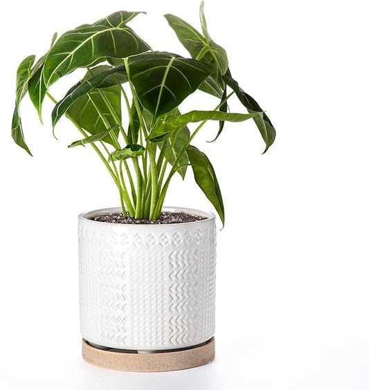 Indoor-Outdoor Ceramic Plant Pots: 8 Inch Flower Pots with Drainage Hole & Saucer - Decorative Ceramic Pots for Plants Herbs Succulents - Home Garden Patio Lawn Use (White)