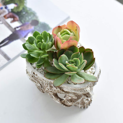 Skull Potted Plant Head Planter Pen Holder Desk Office Organizer Stationery Small Succulent Pots Gifts Decor Mini Resin Home Gardening Flower Pot Special Creative Outdoor Halloween Christmas Party