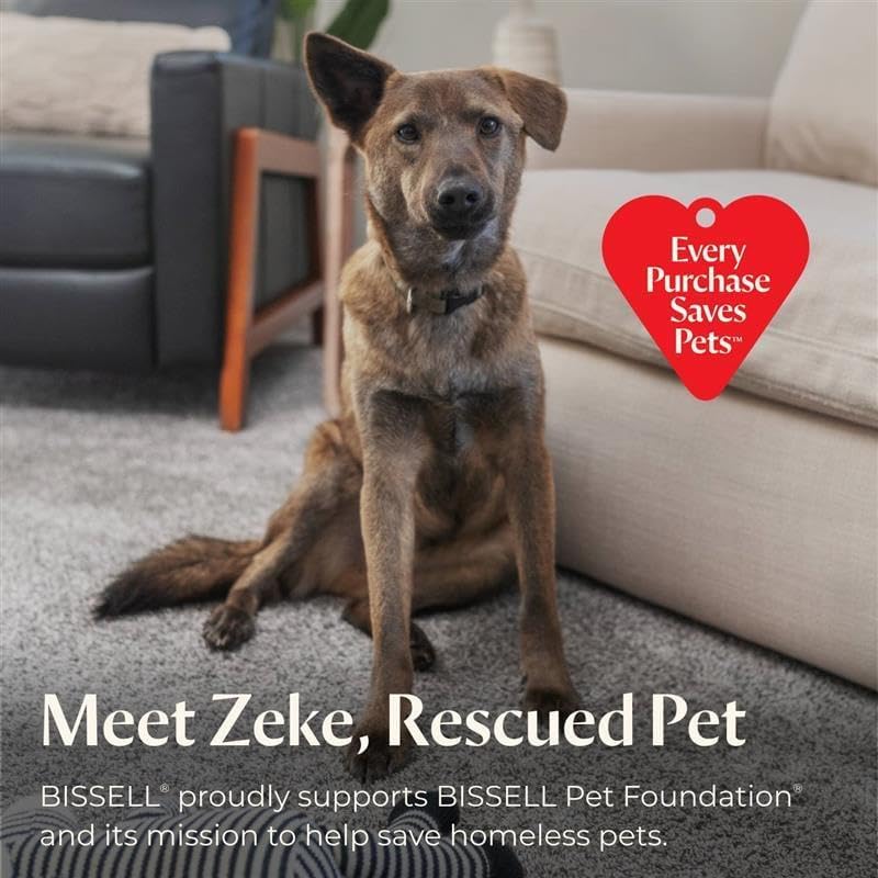 BISSELL® Steam Shot™ OmniReach handheld portable steam cleaner for tile, grout, windows, bathrooms, kitchens, fabric steaming tool, includes 10 tools