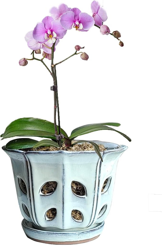 Orchid Pots with Holes 6 inch Ceramic Orchid Pot with Attached Saucer and Drainage Hole (White)