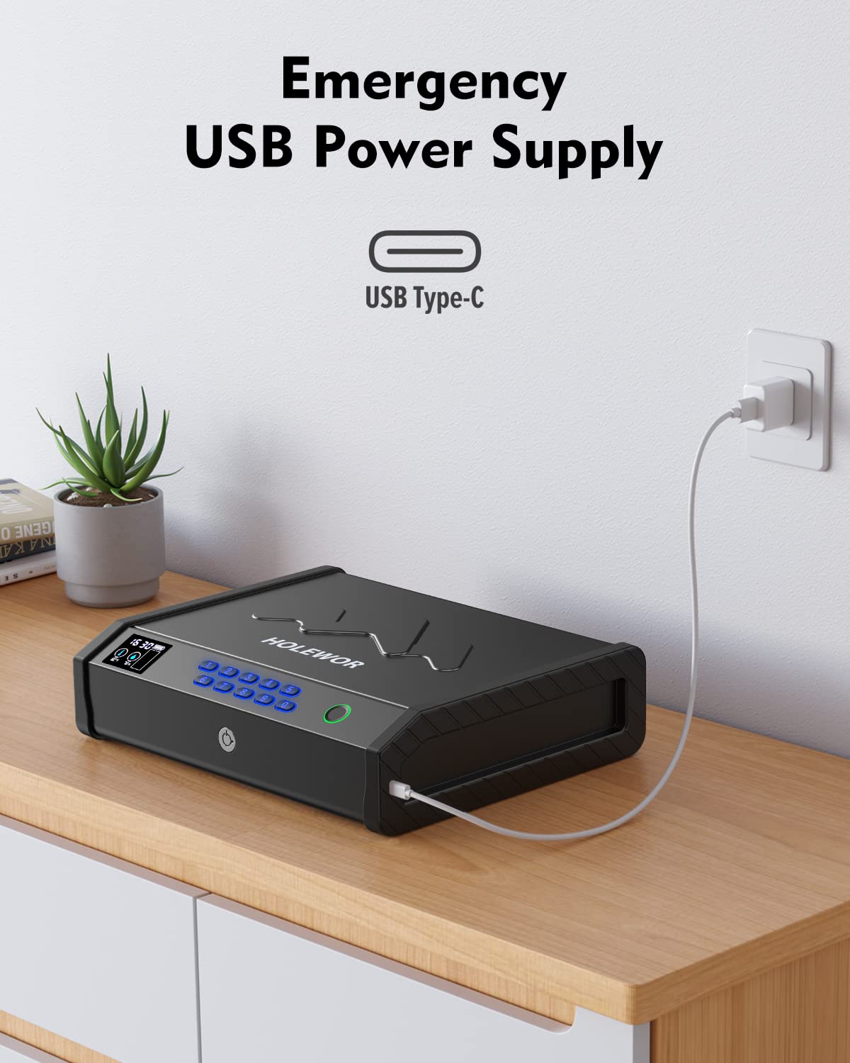 HOLEWOR Gun Safe, Biometric Gun Safes for Pistols with LCD Display of Temperature Humidity, Fingerprint Quick Access Pistol Safe Solid Handgun Safe with USB C Port