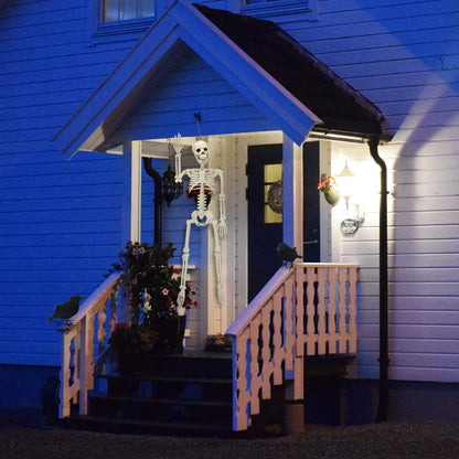 3FT Skeleton Halloween Decorations, Full Body Posable Halloween Skeleton with Movable Joints, 36" Plastic Skeleton with 1PCS Black Crow for Indoor Outdoor Haunted House Prop Decor