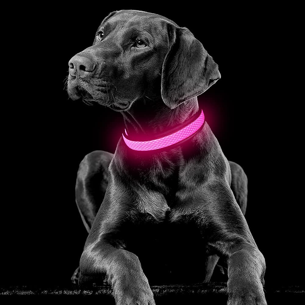 YFbrite Light up Dog Collar, Rechargeable LED Dog Collar, Flashing Dog Collar, Adjustable Reflective Dog Collar Safety Glowing at night (Pink, Medium)