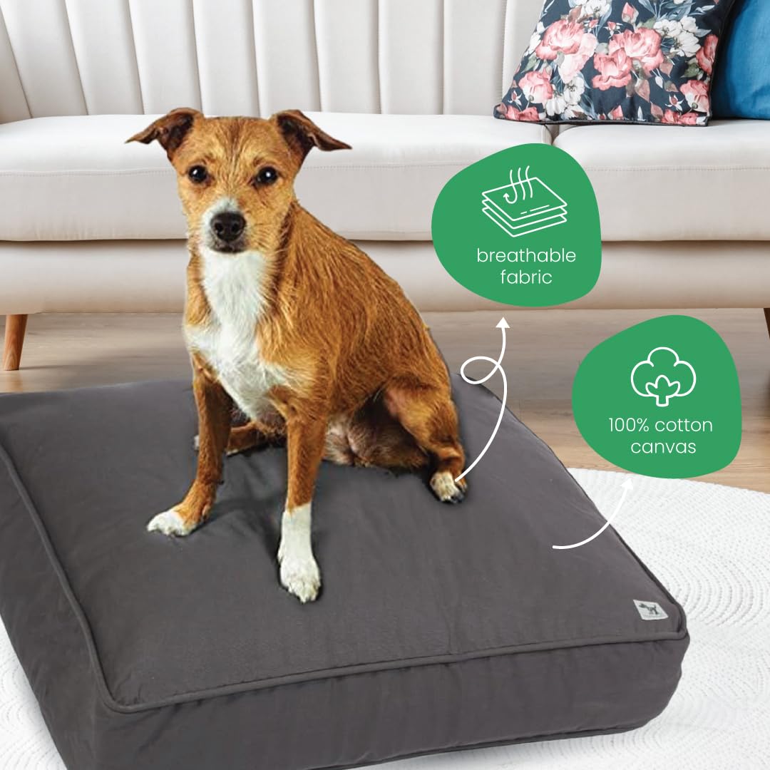 Molly Mutt Medium to Large Dog Bed Cover - I’M A Realist Print - Measures 27”X36”X5’’ - 100% Cotton - Durable - Breathable - Sustainable - Machine Washable Dog Bed Cover (dd45ab)