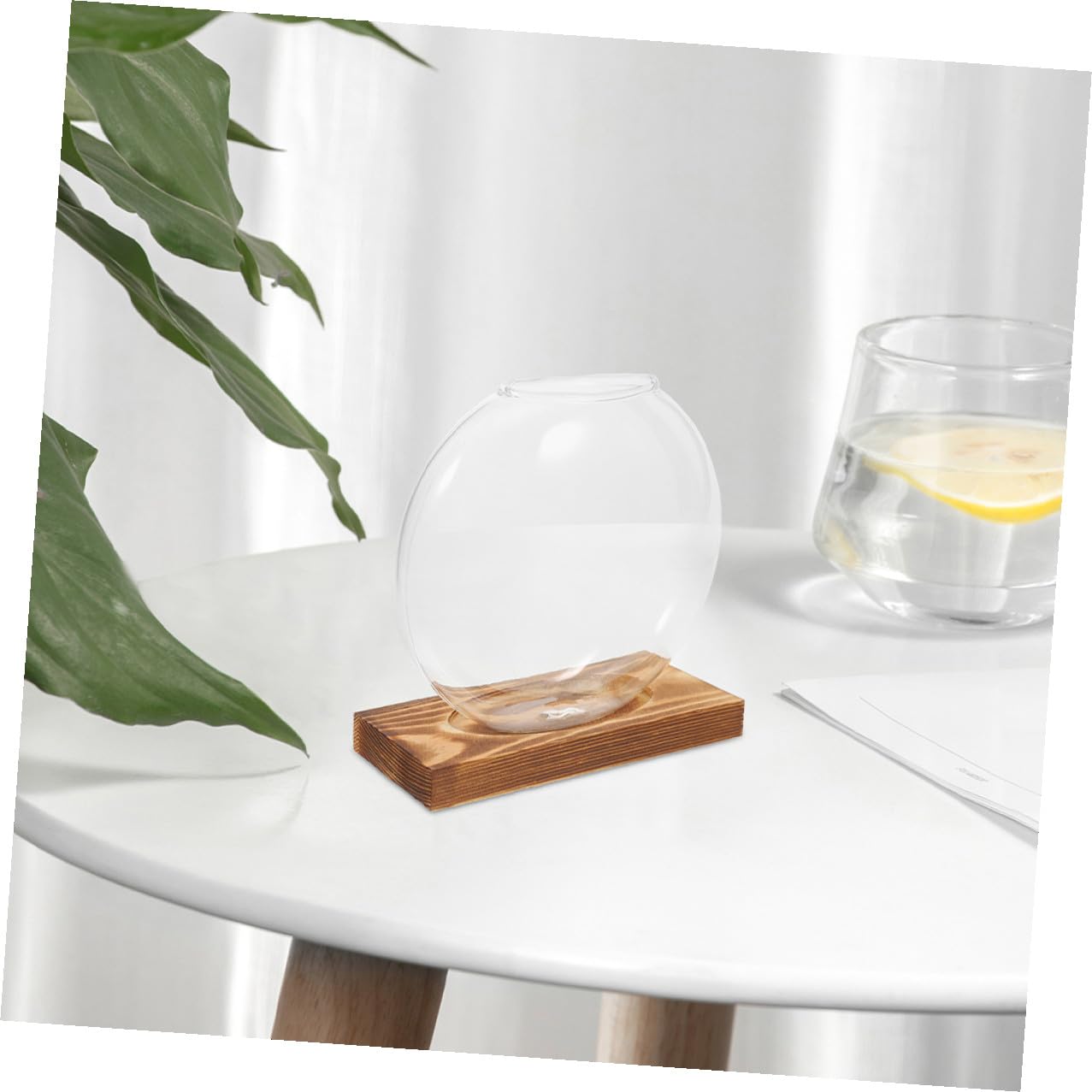 EPIGEIST 2pcs Hydroponic Glass Vase Containers with Wooden Base, Plant Terrarium for Indoor Propagation, Desktop Hydroponic Plant Vase for Home and Office Décor