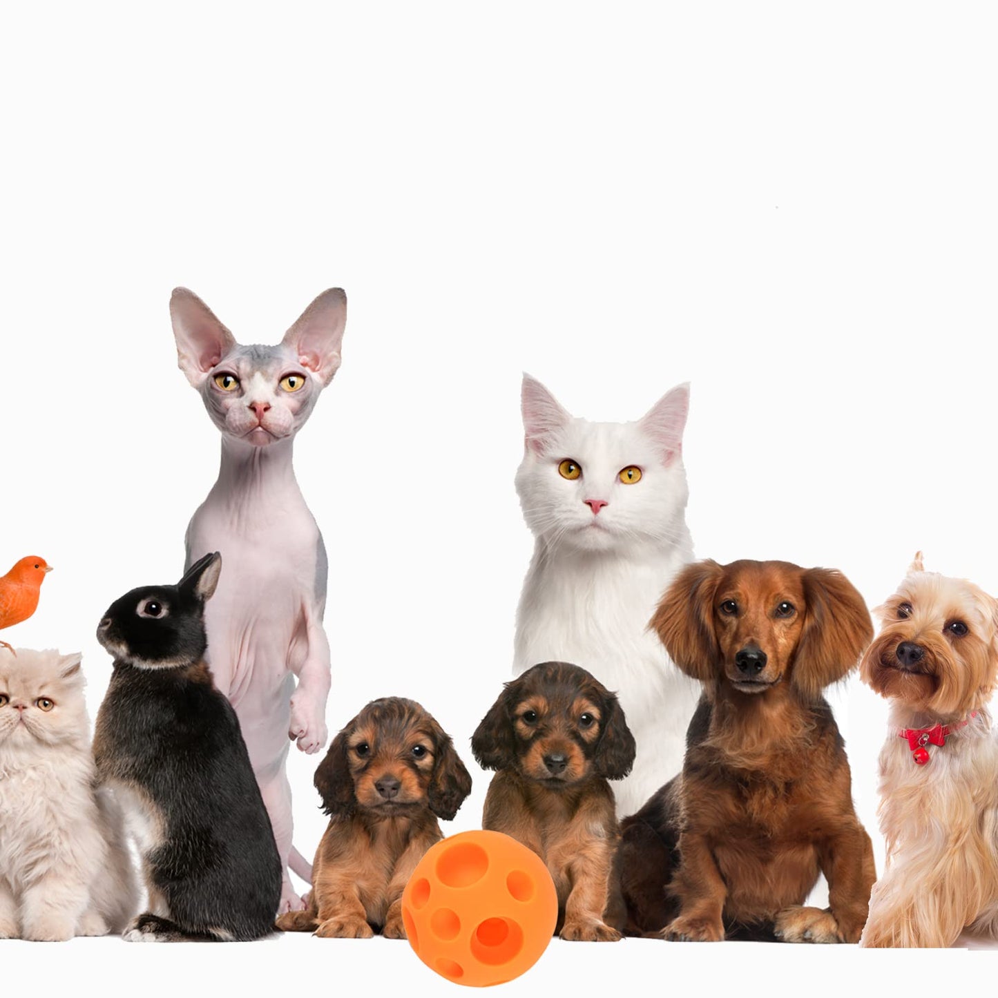 Evan Dog Toy Balls, 5 Inch Treat Tricky Ball Food Dispensing Toys Tricky Fun Interactive Dog Toy Food Dispenser Toy Puzzle Toy Ball Dog Chew Toys Ball for Large Medium Slow Feeder Dog Bowls（Orange）