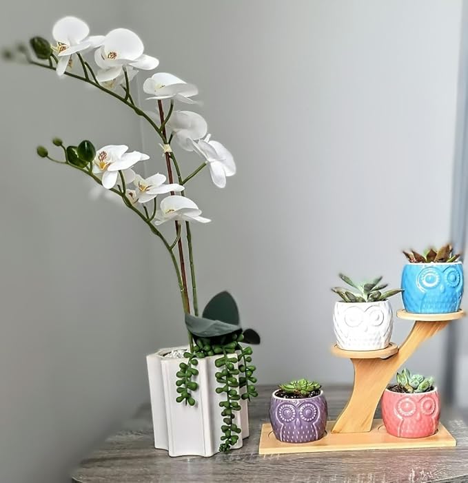 Blisse Wood Owl Planter (Pink)