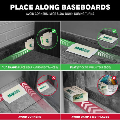 Catchmaster Max-Catch Mouse & Insect Glue Trap 36pk, Mouse Traps Indoor for Home, Sticky Pest Control Adhesive Tray for Catching Bugs, Non Toxic Bulk Pre-Baited Glue Boards