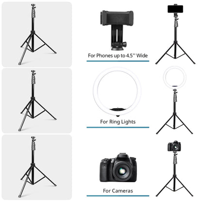 Eicaus 12" Ring Light with Tripod Stand and Phone Holder,Selfie LED Lighting with 62" Phone and Stand,Circle Ringlight for Photography,TIK Tok and YouTube,Compatible with iPhone, Android and Cameras