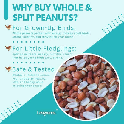 Leagrams Value Whole & Split Peanuts for Wild Birds (12.55kg)
