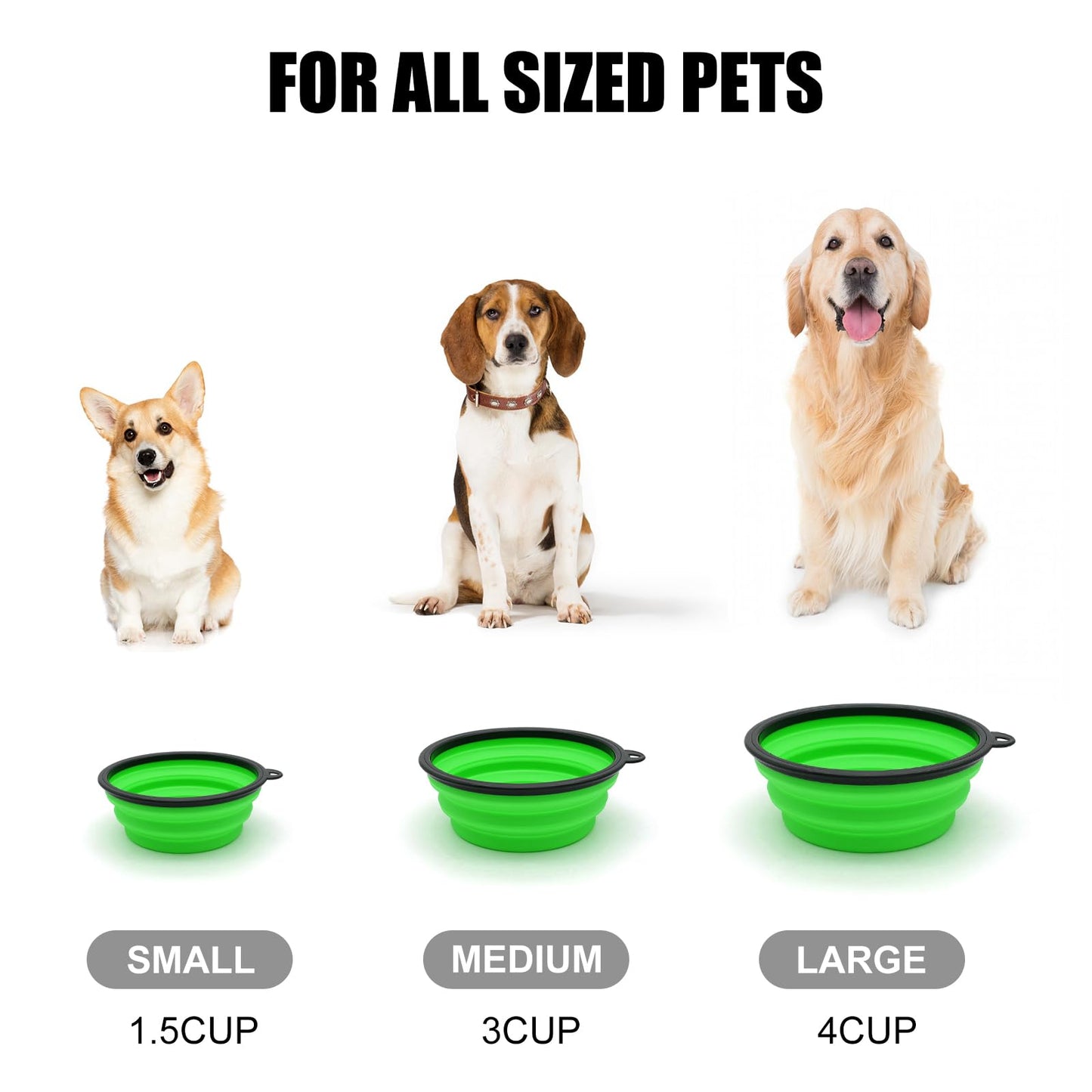 COLLAPSIBLE 2-Pack Small Dog Travel Bowl, Collapsible Bowls for Dogs, Foldable Cat Water Bowl, Portable Pet Traveling Dish (Green & Blue)