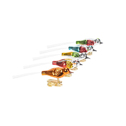 Kurt Adler Early Years Glass Clip-On Bird, 4.5-Inch, Set of 5