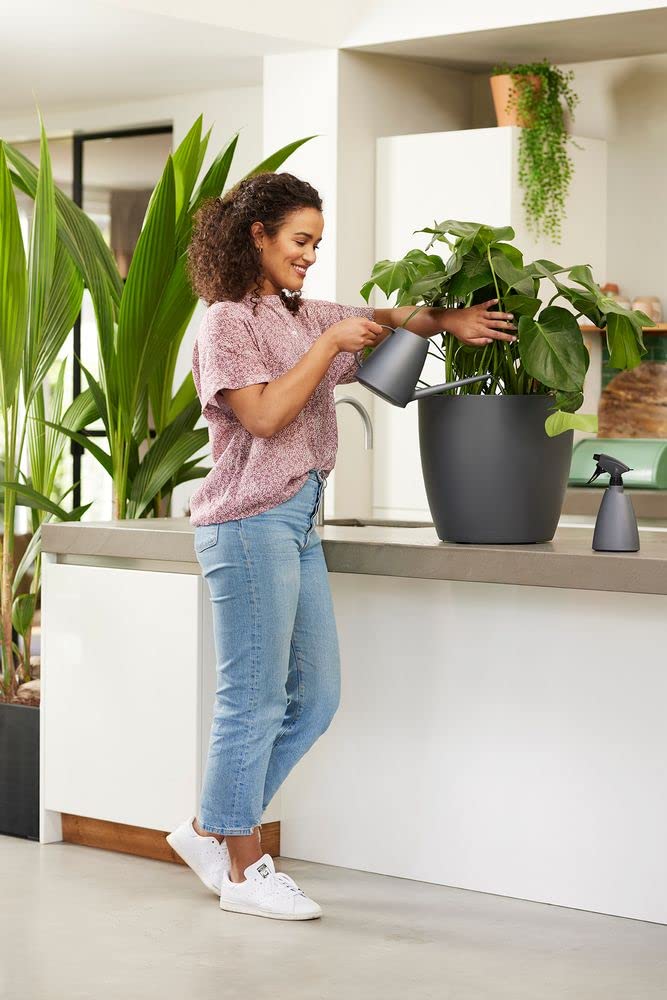 Elho Brussels Watering Can 33 - Watering Can Indoor - 1.8 liters - Ø 33.0 x H 17.0 cm - Black/Anthracite