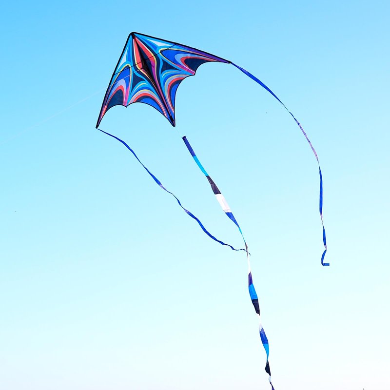SGftre Blue Large Delta Kites Flying Toys Easy to Fly，Huge Kite for Kids and Adults，Comes with 328ft String Kites Handle，Beach Kite Family Outdoor Toy (Power Triancle-Blue)