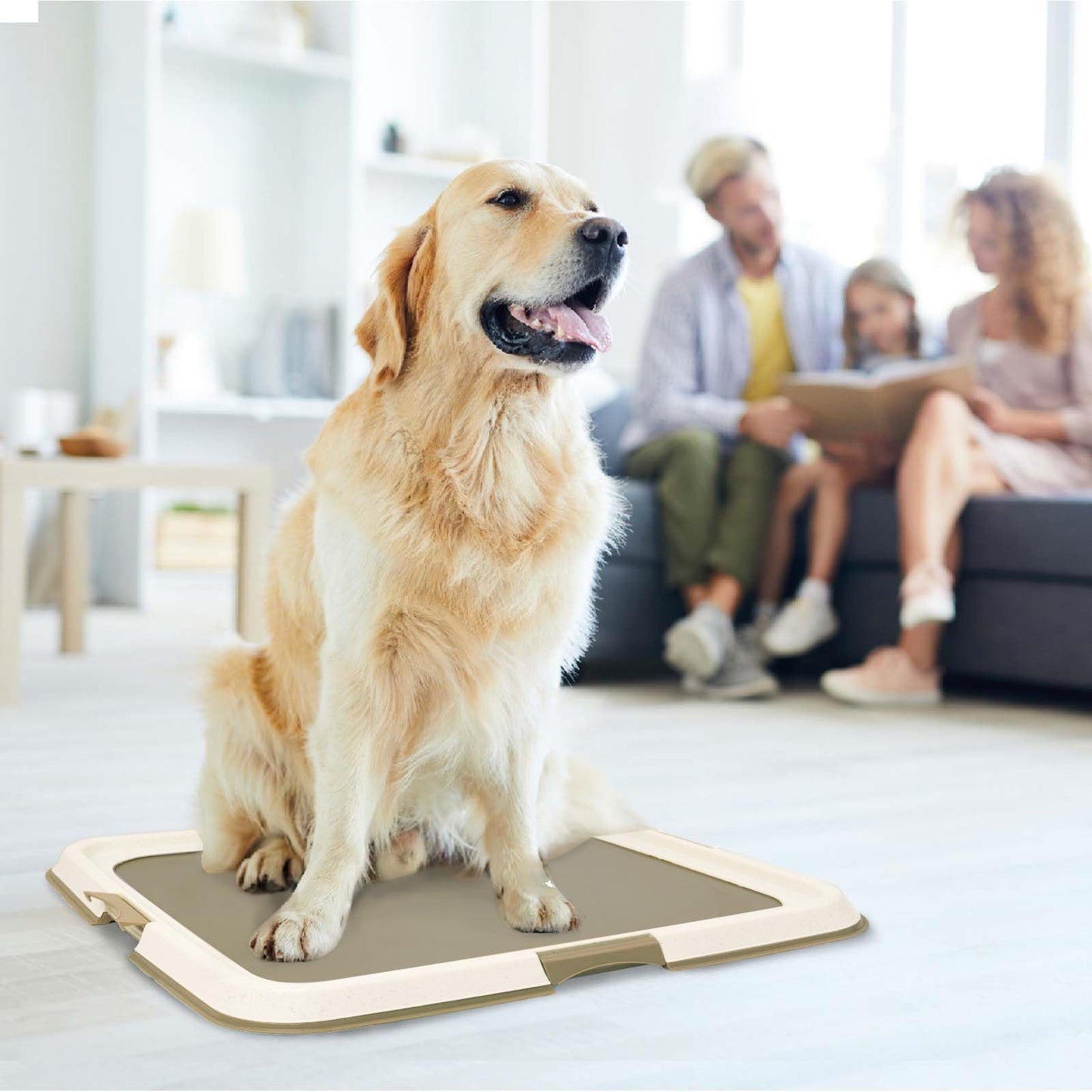 PAWISE Pee Pad Holder - Puppy Training Pads, Dog Pad Holder, Pee Pad Tray for Training Pads,Puppy Pad Holder(60 x 60CM)