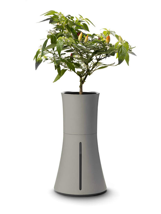 Botanium Hydroponic and Automatic Indoor Gardening Pot, Grey