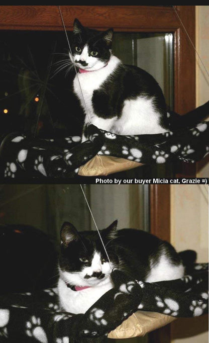 JZK Cat Window Hammock + Blanket, Suction Cup Pet Hanging Bed, Black Blanket for Cat Perch